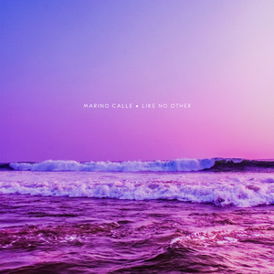 孟若羽与黑人演的叫什么
